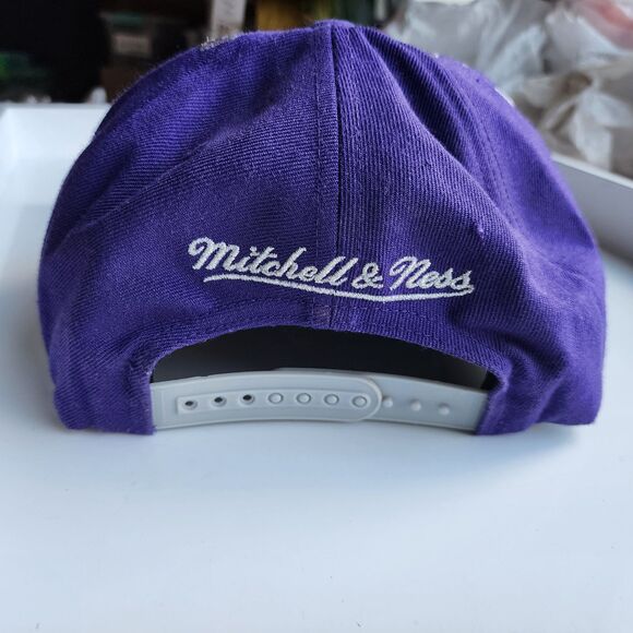 Toronto Raptors Mitchell & Ness Purple Hardwood Classics Earthquake Snapback Hat - Picture 3 of 15